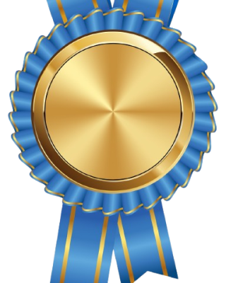 591-5913797_ribbon-certificate-logo-png-transparent-png-removebg-preview